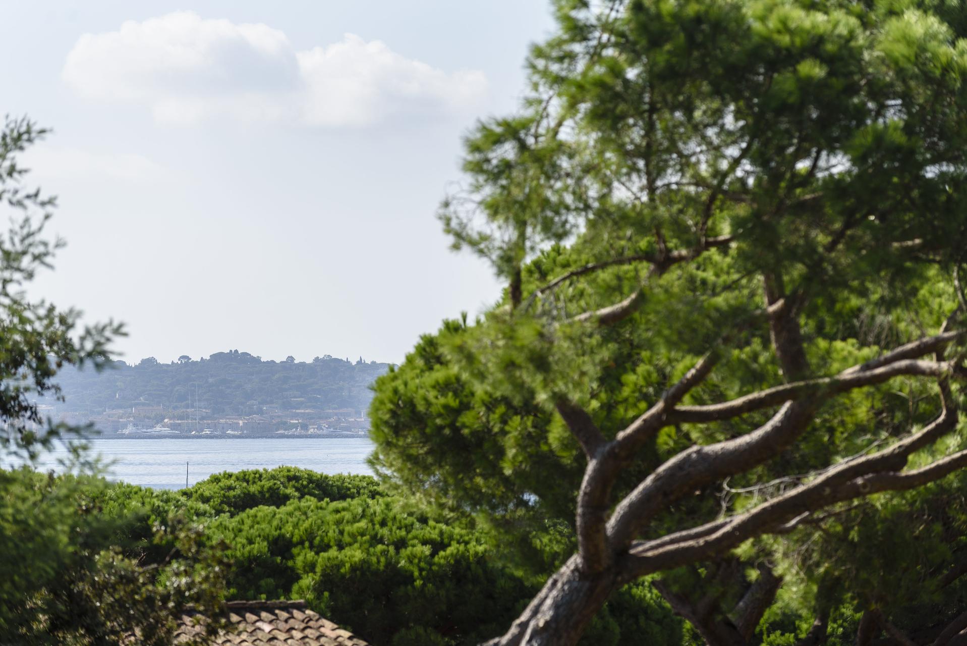 Domaine Du Calidianus Ξενοδοχείο Σαιντ-Μαξίμ Εξωτερικό φωτογραφία